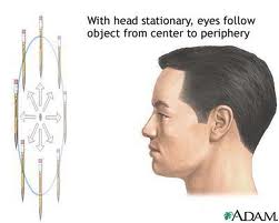so da, sổ da, cong ty in, c&ocirc;ng ty in, so da cao cap,so bia da, c&ocirc;ng ty in an, sổ da cao cấp,sổ b&igrave;a da,c&ocirc;ng ty in ấn